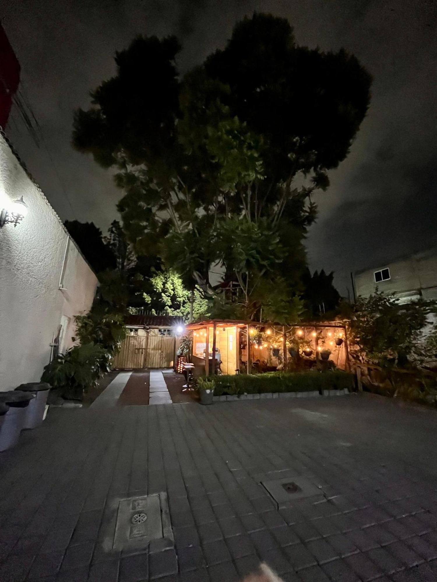 墨西哥城Casita Del Arbol公寓 外观 照片
