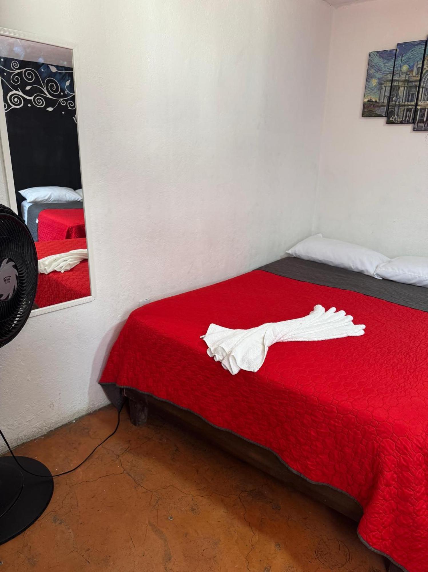 墨西哥城Casita Del Arbol公寓 外观 照片