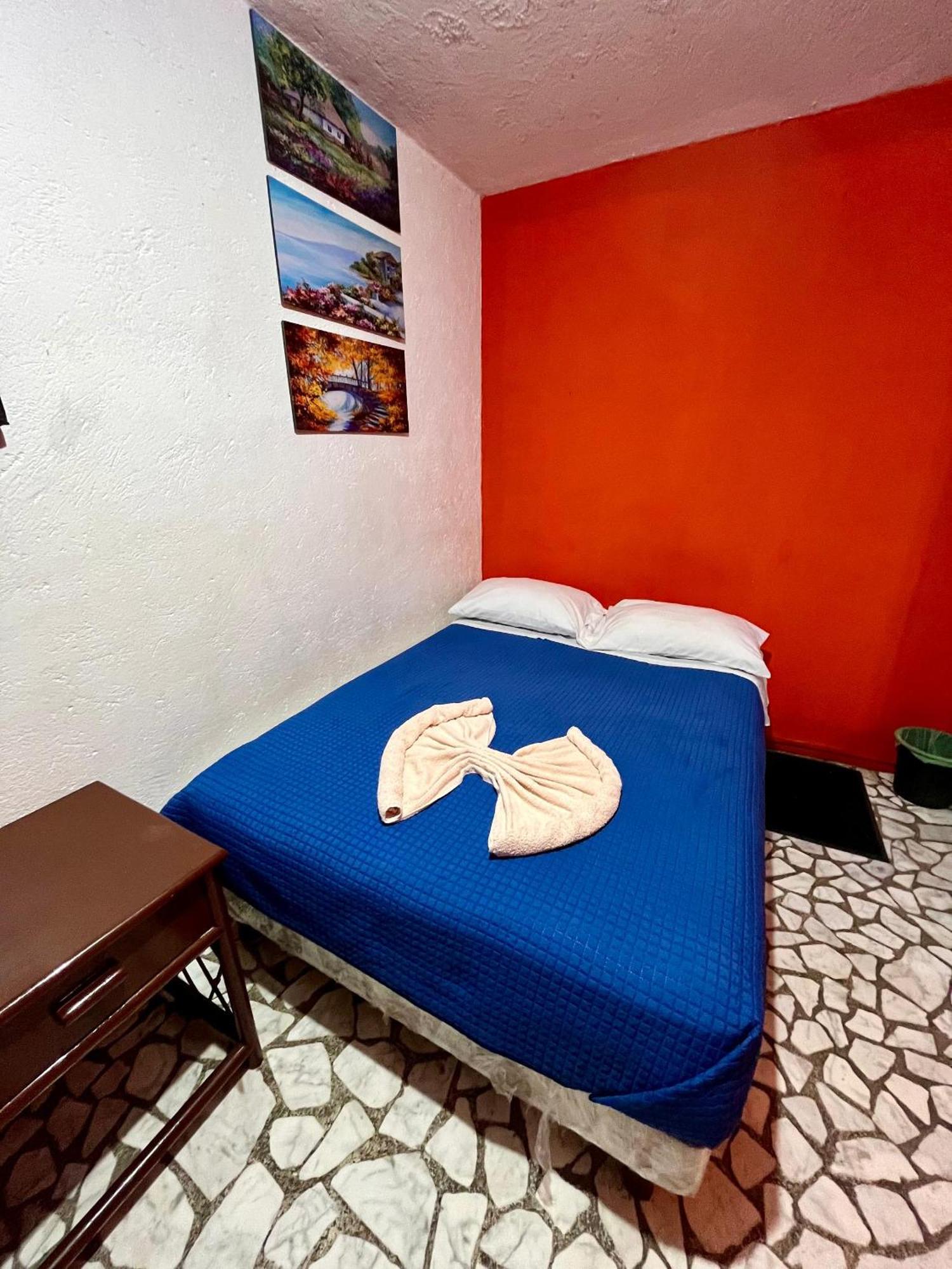 墨西哥城Casita Del Arbol公寓 外观 照片